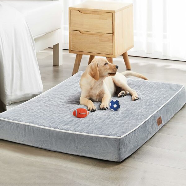 Large Orthopedic Dog Bed