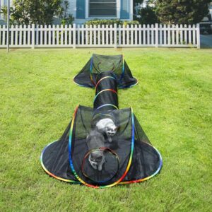 Outdoor Rainbow Cat Enclosures Playground