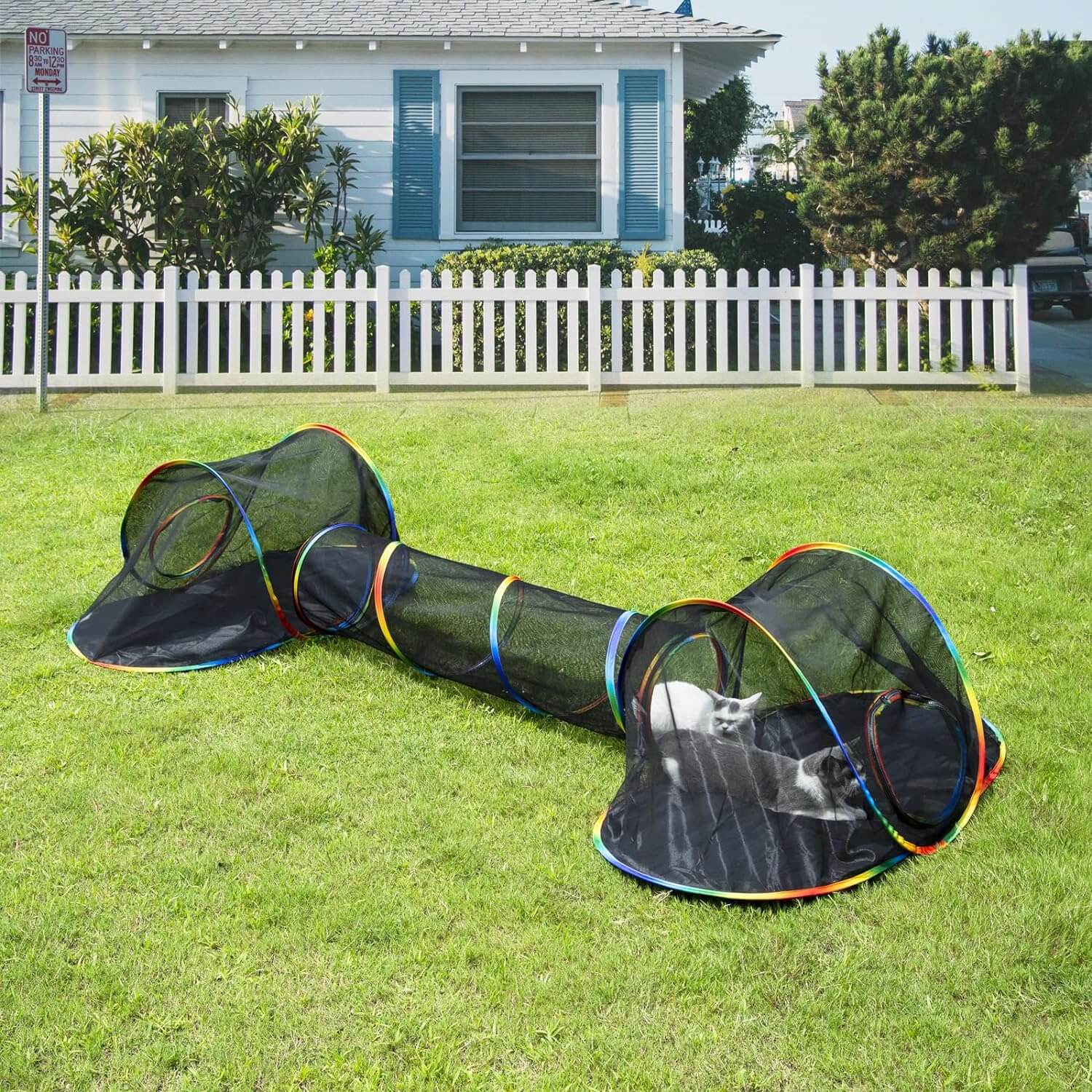Outdoor Rainbow Cat Enclosures Playground - Image 3
