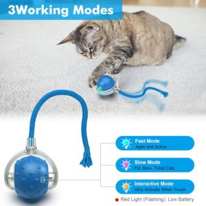 Alternative view of Interactive Rolling Cat Ball Toy