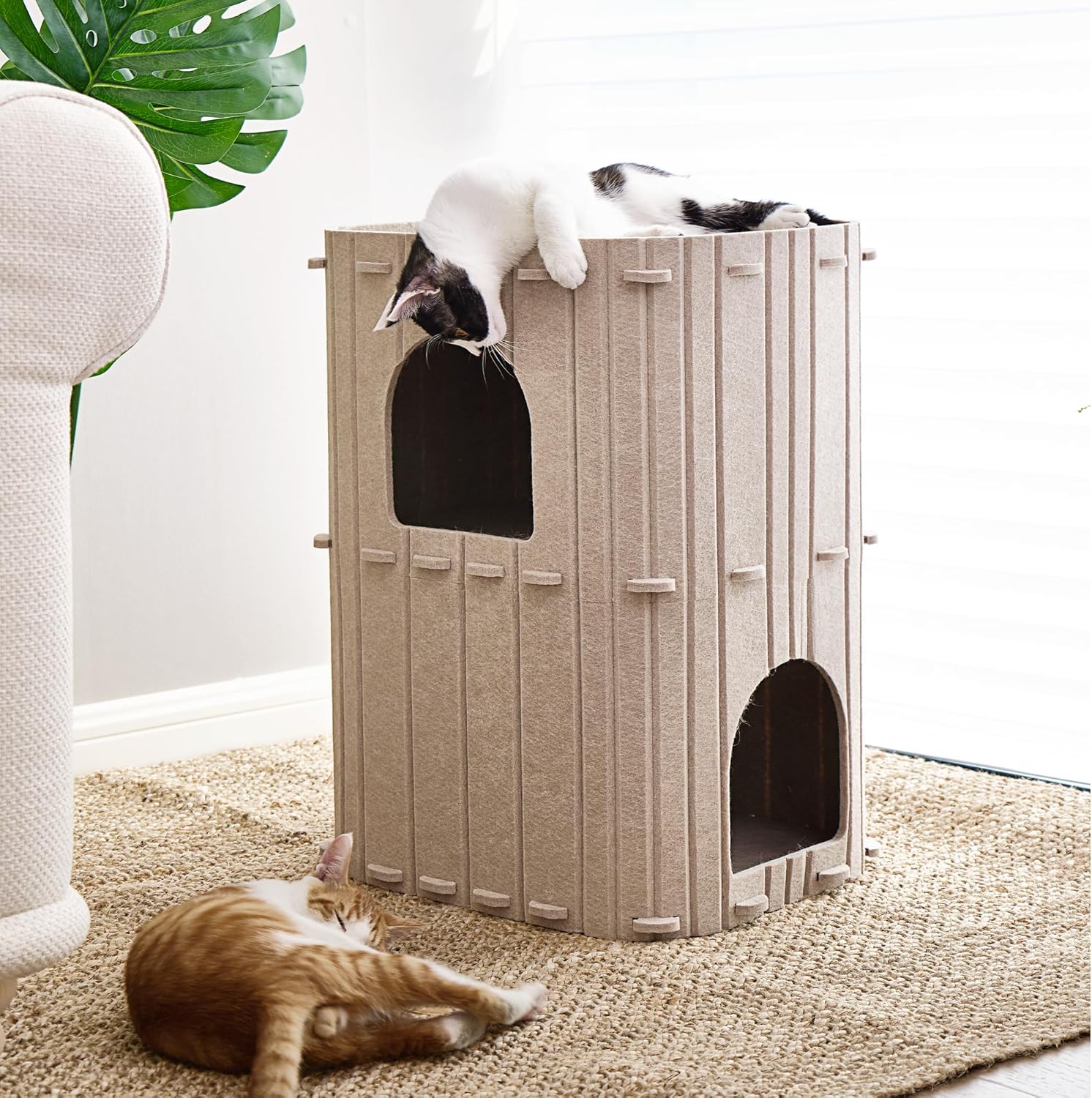 2-Story Indoor Cat Tunnel Condo