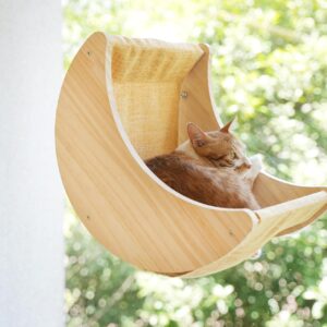 Cat Window Hammock Moon Shelf