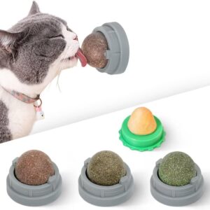 Dental Catnip Balls – 4 Pack