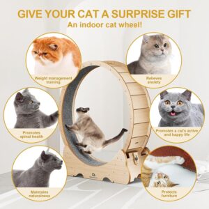Alternative view of Large Indoor Cat Exercise Running Wheel