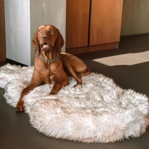 Alternative view of Luxury Orthopedic Faux Fur Dog Bed
