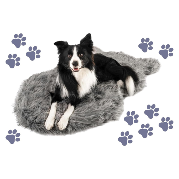 Orthopedic Memory Foam Dog Bed