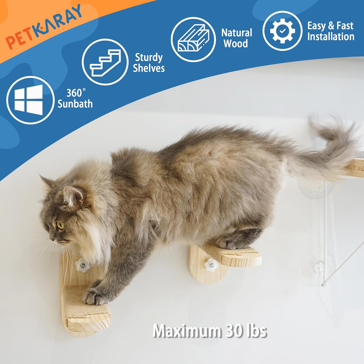 Sturdy Cat Window Perch Seat - Image 4