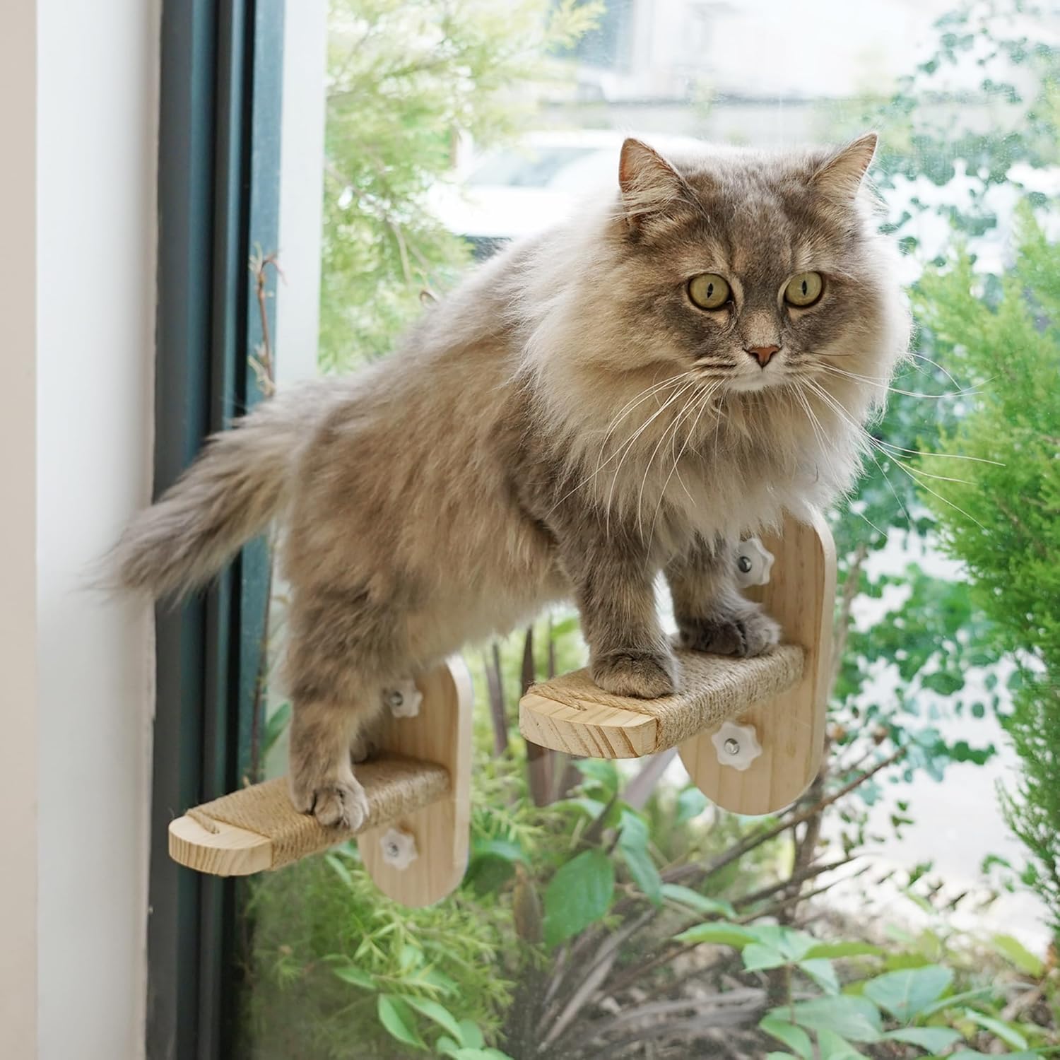 Sturdy Cat Window Perch Seat
