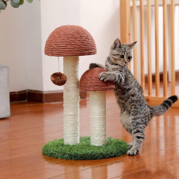 Tall Mushroom Cat Scratcher with Toy