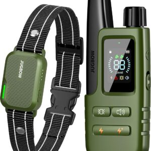 Waterproof Dog Training Collar with Remote