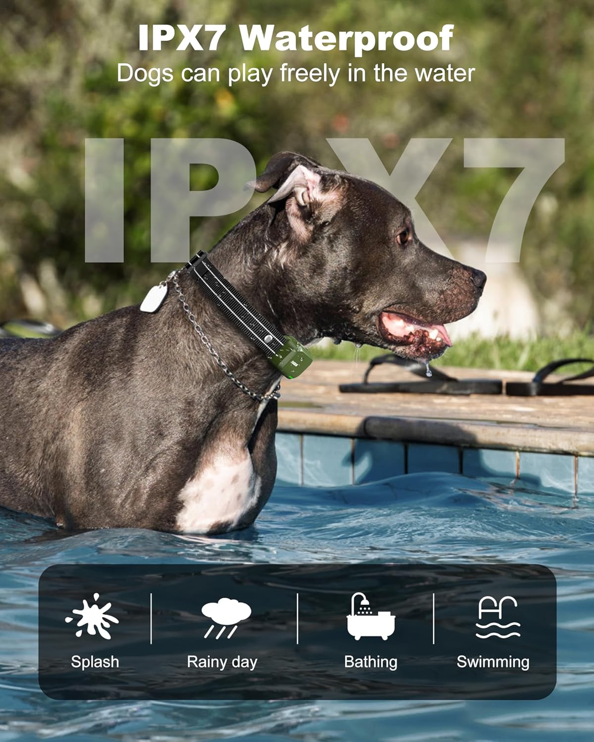 Waterproof Dog Training Collar with Remote - Image 4