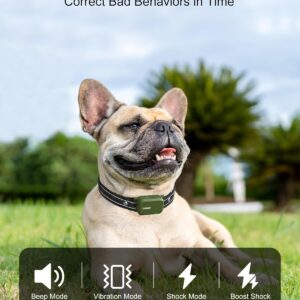 Alternative view of Waterproof Dog Training Collar with Remote