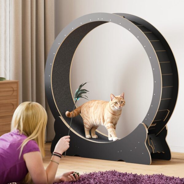 XL Cat Exercise Wheel with Carpet