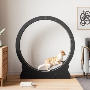 Alternative view of XL Cat Exercise Wheel with Carpet